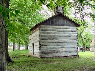 Back View