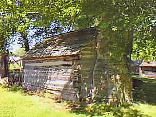 Back Left View