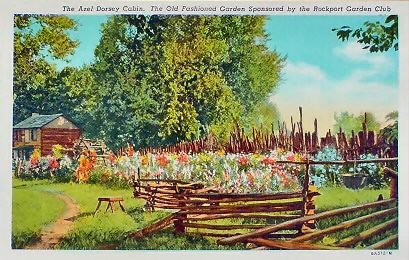 The Old Fashion Garden